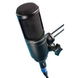 Microphone