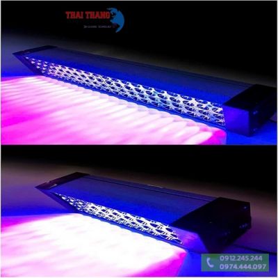 den-uv-cong-nghiep-cong-suat-lon-560w-395nm-winnin