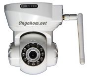 camera-ip-mau-khong-day-questek-qtc905w