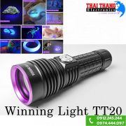 den-uv-365nm-winning-light-tt20